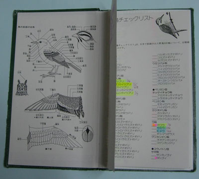 20060304フィールドノート1.jpg