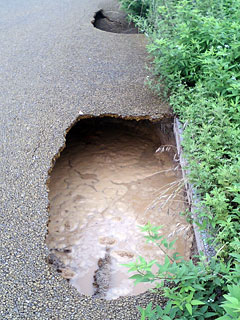 20060701doro01.jpg