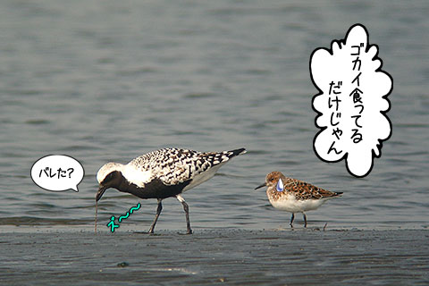 ラヂオ体操07