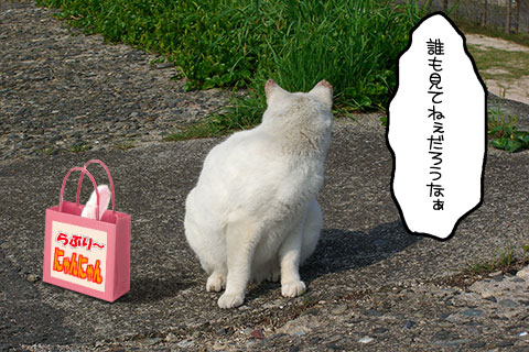 ネコ物語01