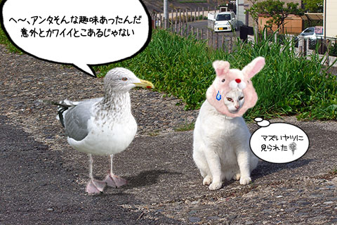 ネコ物語03
