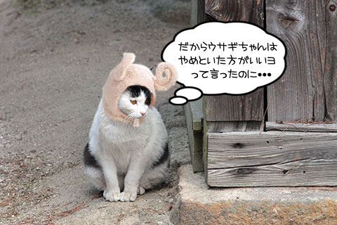 ネコ物語04