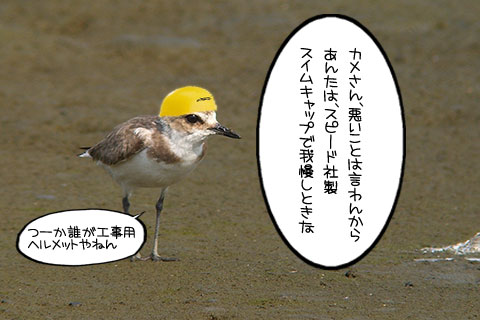 スピード社製水着04