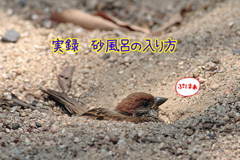 砂風呂02-01