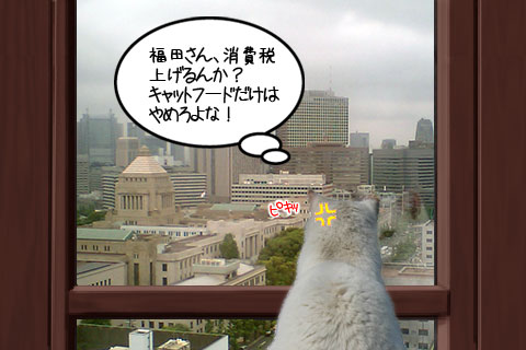 国会議事堂