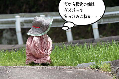 案山子02