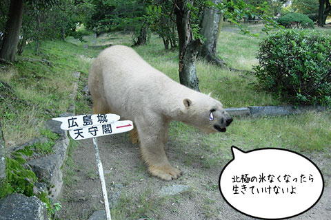シロクマ