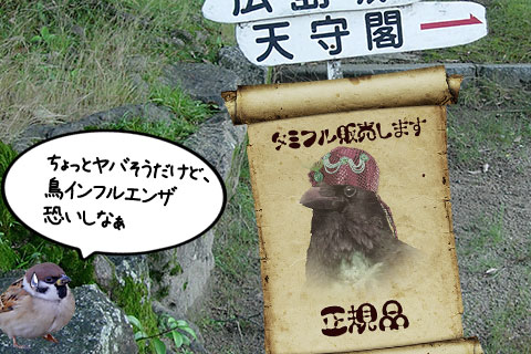 鳥インフルエンザ