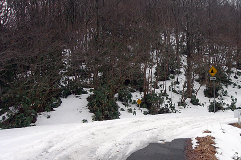 雪